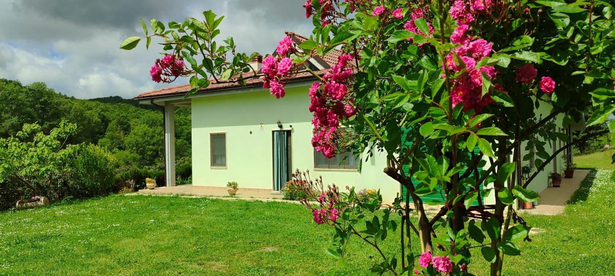Pia'S House Garden Apartment Campobasso Exterior photo